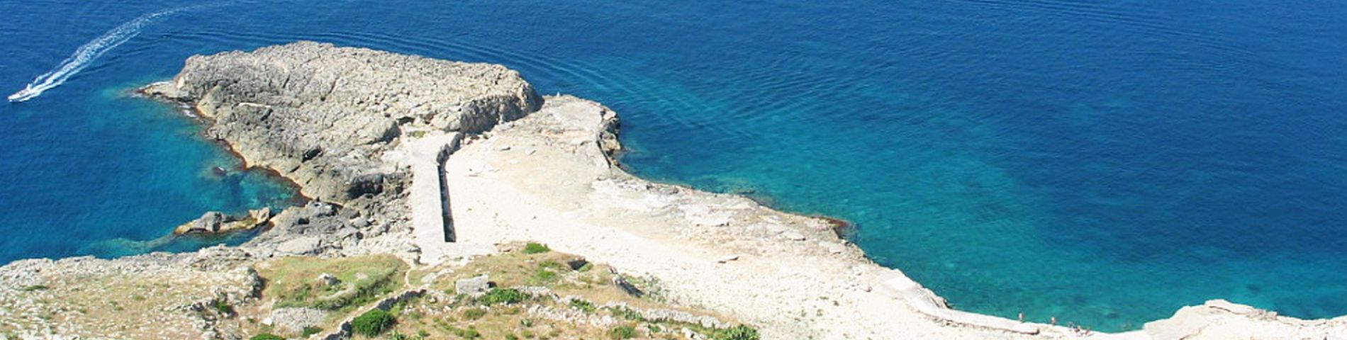 Mare